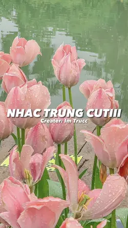[2] Nhạc trung cuti🌷