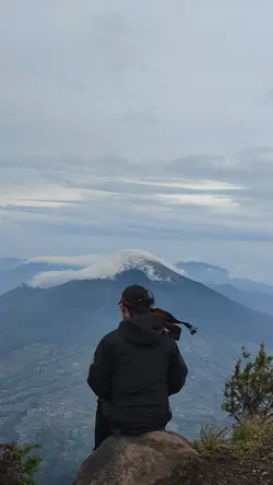 Bersemi