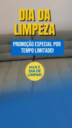 DIA DA LIMPEZA