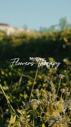 Flowers therapy