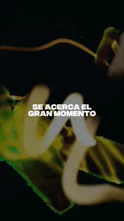Falta Poco