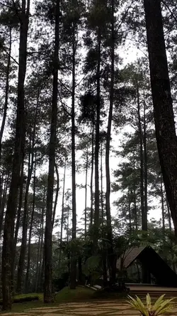 7 video 