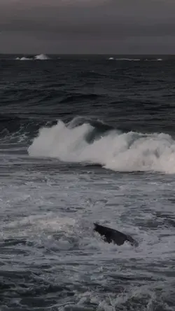 slowmo