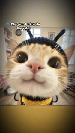 Cho em 1 năm để thay