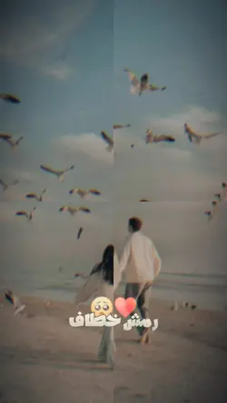 رمش خطاف عمرو دياب