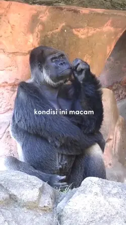 kondisi ini macam
