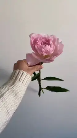 Spring Season