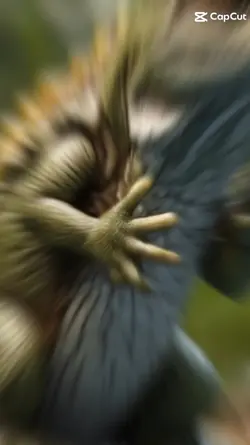 Animation 3d