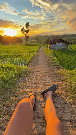 SUNSET CAKEP
