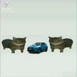 this is a... 