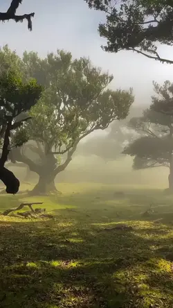 nature