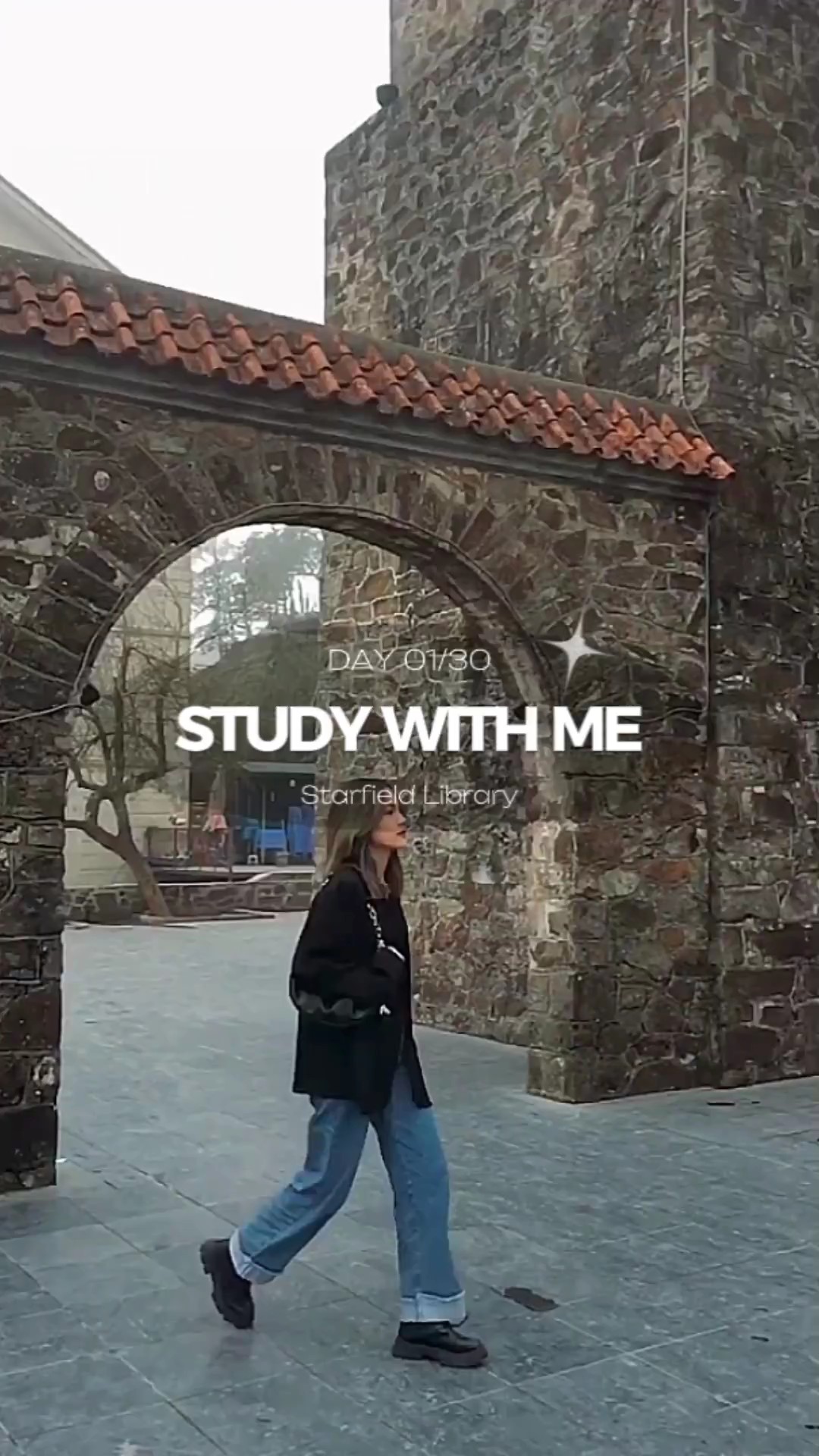 Library Study Template - Pippit