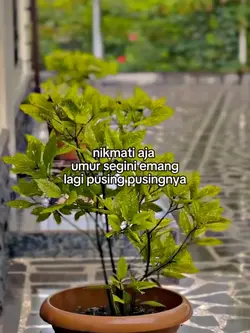 bahan swmu