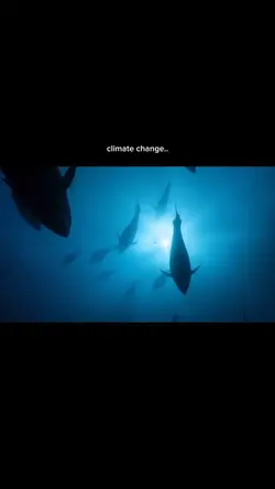 climate change …
