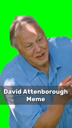 D.A. Meme