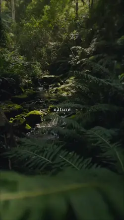 nature