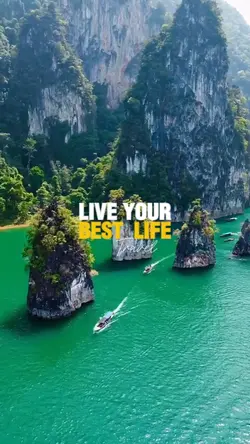 live your best life