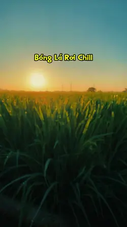 Bóng Lá Rơi Chill