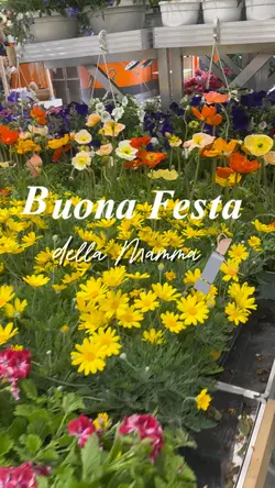 Festa della mamma