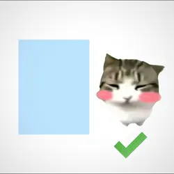 damdam dimdimdim