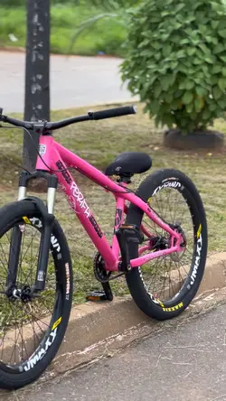 Edit 244