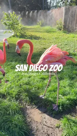 San Diego Zoo