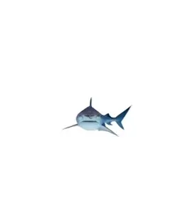 Un requin qui salut