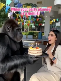 birthday surprise