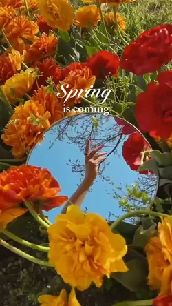 Spring is coming