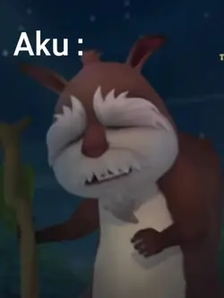 Anjing anjing