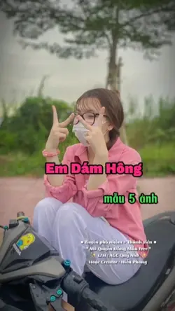 Mẫu 5 ảnh 