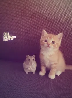 cute