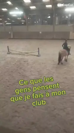 ce qu'ils pensent...