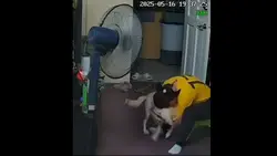 crazier