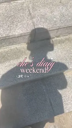 digi diary weekend
