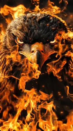 Fire effect 55