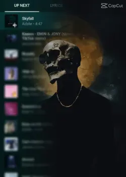Skyfall lyric Spoty