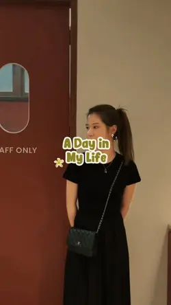 mini vlog 