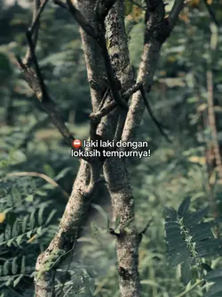 Bahan sw