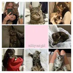 tabby cat girl