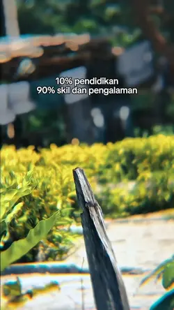 Skil & Pengalaman
