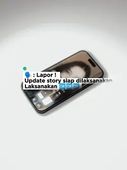LAPOR! Update story 