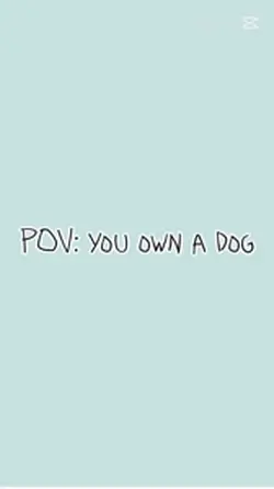 POV: You Own A Dog