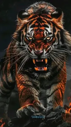 اهنگ مازندرانی