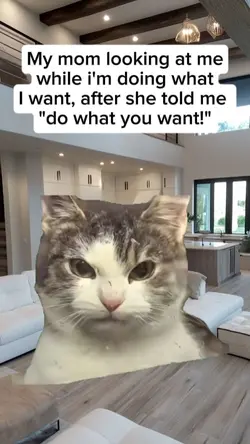 do what u want