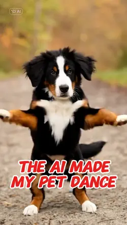 pet dance