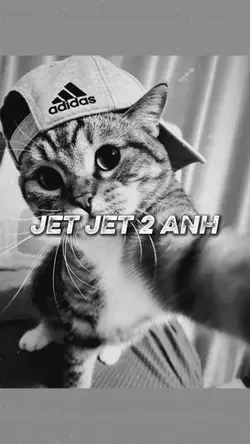 jet jet 2 ảnh