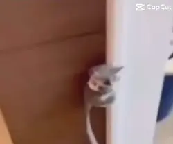 I can’t move it