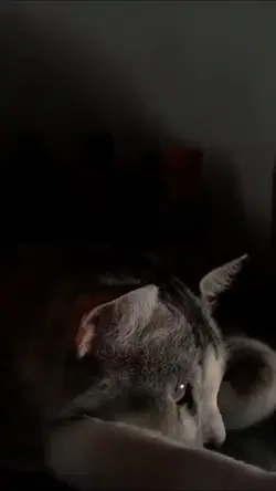Bagaimana bisa..