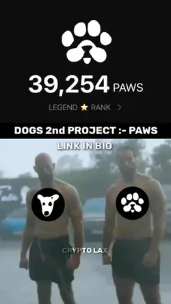 Paws
